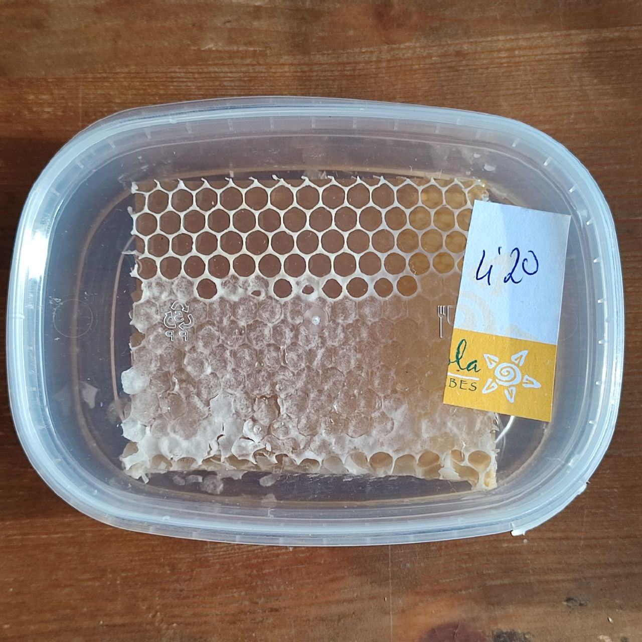 Panal de miel de romero