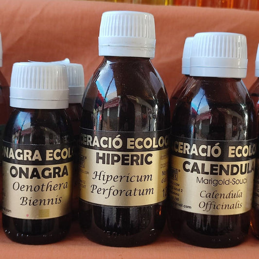 Maceració d'Hipèric